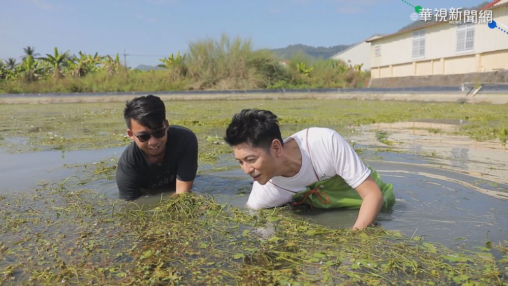 金鐘56!華視入圍5項大獎 節目.戲劇受青睞