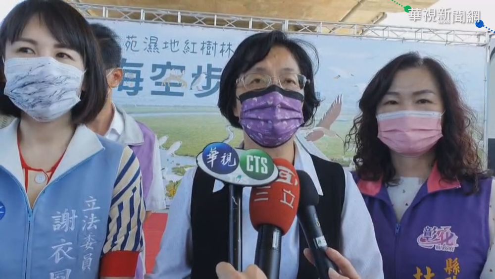 彰化海空步道開放 近距離欣賞紅樹林