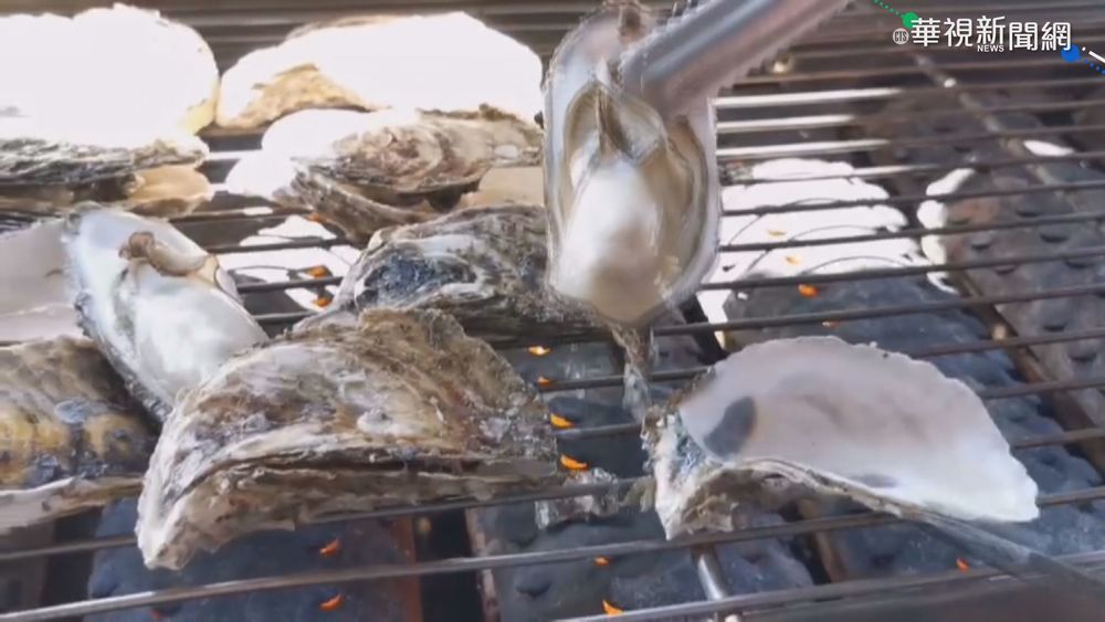 進口蚵衝擊!蚵農盼加強邊境檢測.標產地