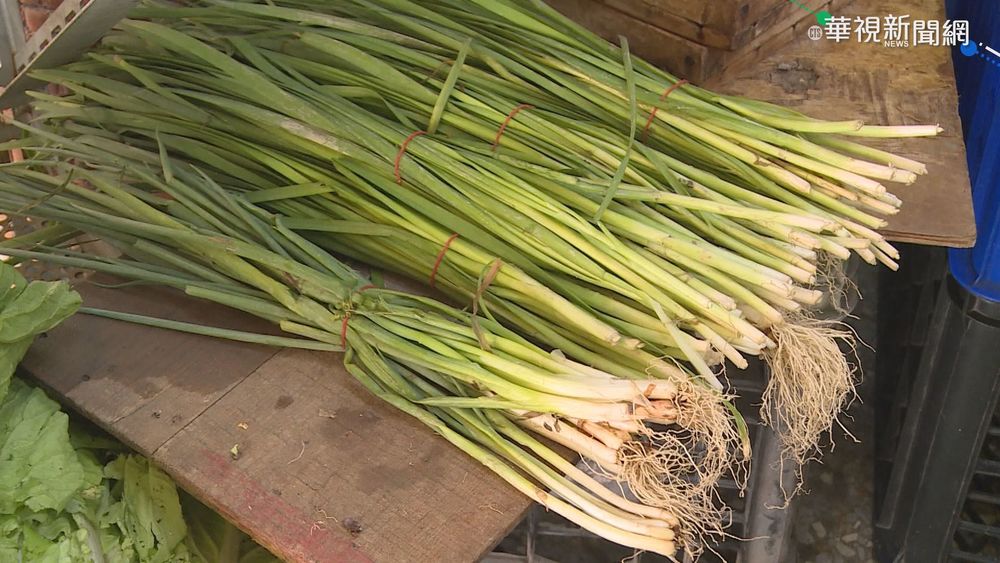 雨泡爛青蔥產量大減 每公斤飆破200元