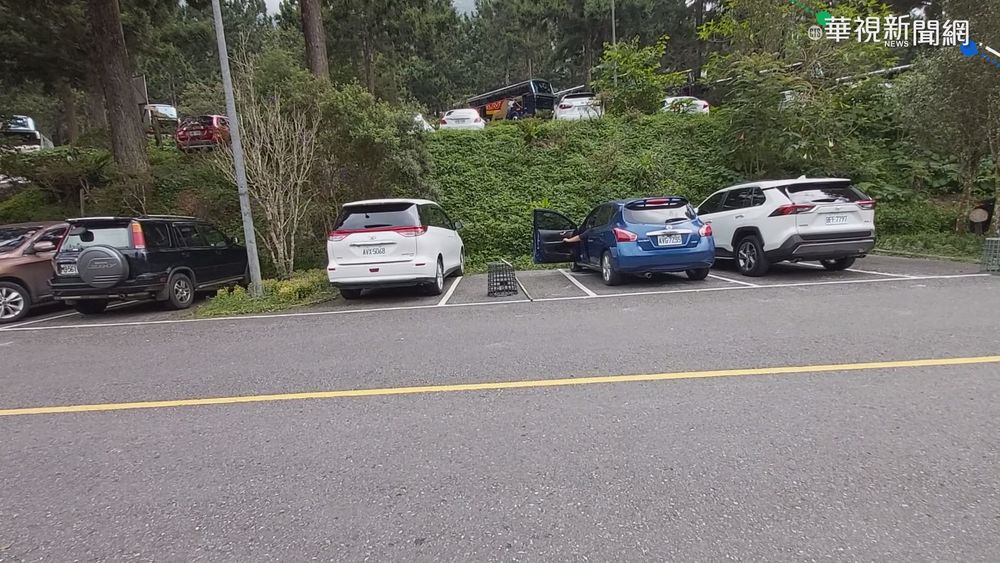 溪頭停車一位難求 店家占位出奇招!