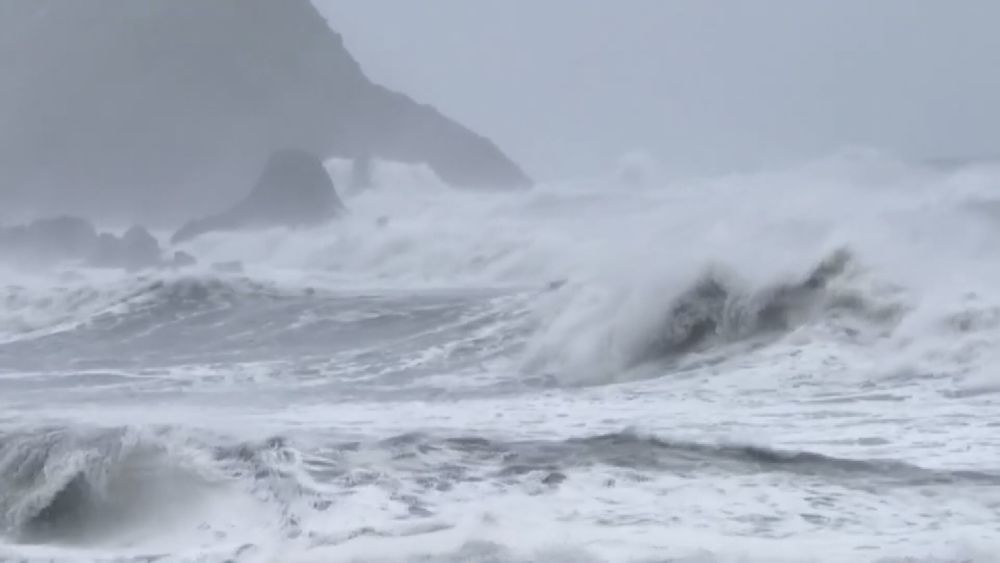璨樹強襲! 花蓮.蘭嶼路樹倒一片狼藉