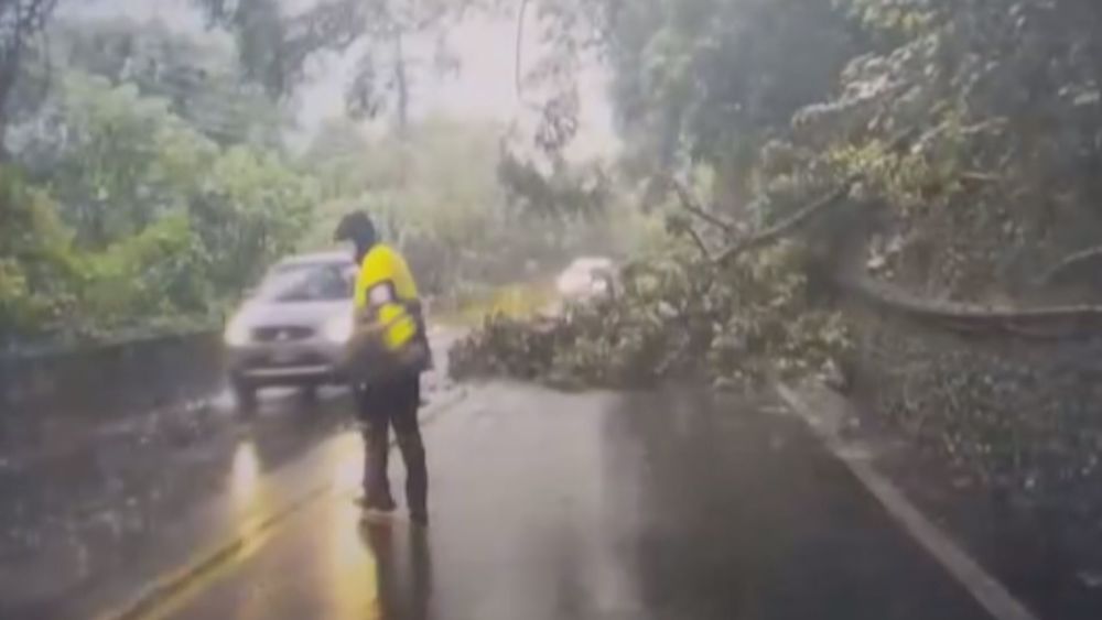 中颱璨樹來襲 中橫公路落石掉.路樹倒