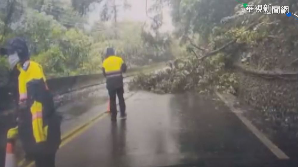 璨樹釀樹倒.落石 中橫一度單線通行