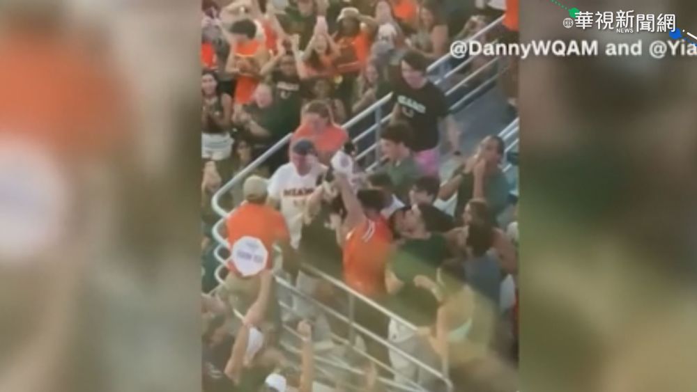 精采救援! 貓高處摔落 球迷"國旗"妙接