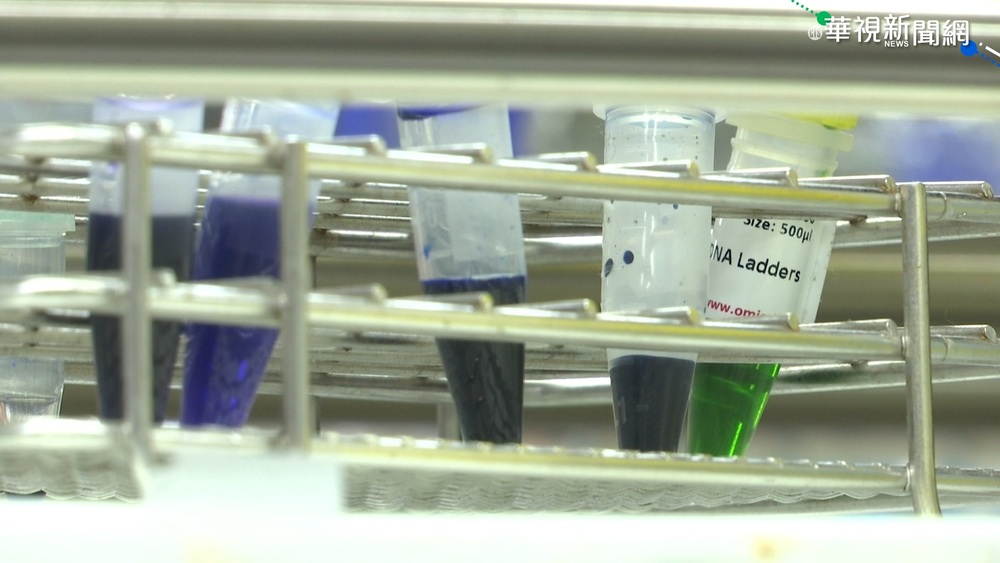 國光次世代疫苗起跑 印尼核准臨床試驗