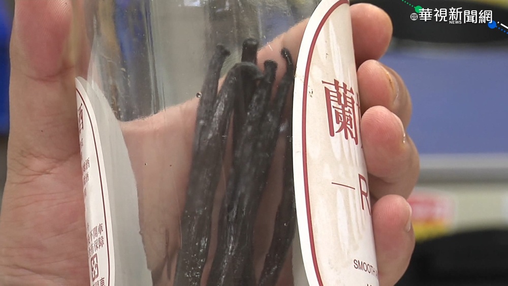 台東香莢蘭種植成功 盼"綠金"取代檳榔