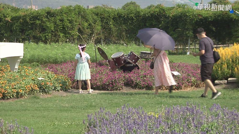連假晴朗好天氣! 民眾走進大自然賞花