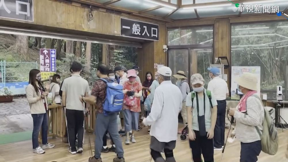 連假出遊! 溪頭園區上限7千人次全滿