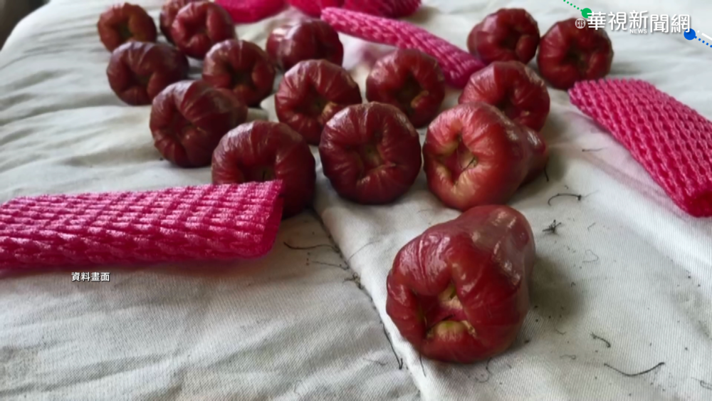 防中國再禁水果 學者高呼分散風險