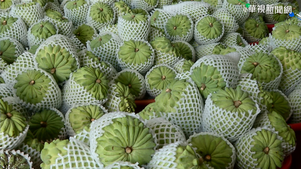 中國禁台釋迦.蓮霧 農委會砸10億救市