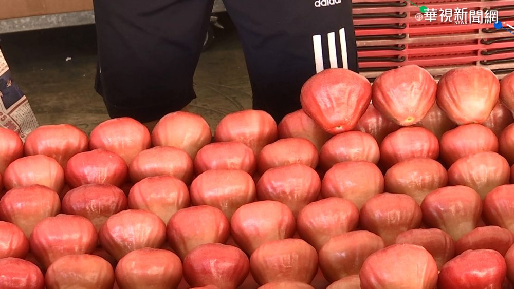 中國禁台蓮霧 屏東沒在怕!外銷加國.星國