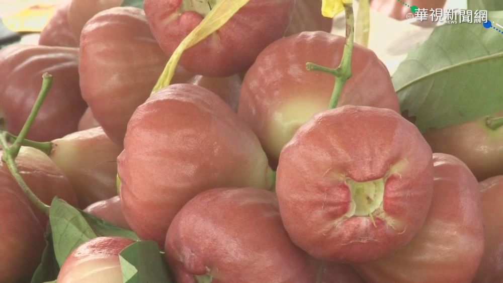 中禁台釋迦蓮霧 總統籲朝野應一致對外