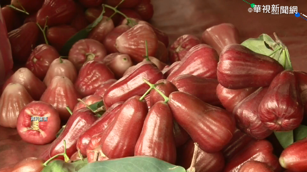 瑞士國會議員挺台 擬進口我蓮霧抗中