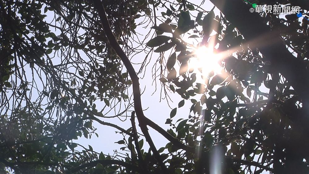 大肚山天候奇觀 徹夜閃電無雷聲