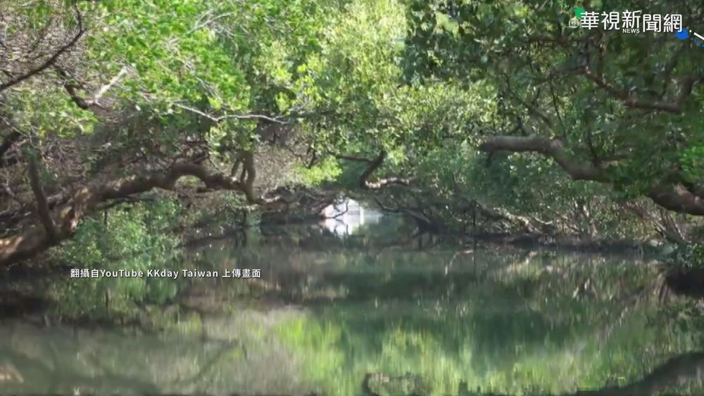 夯劇"俗女養成記2" 拍攝場景成熱搜