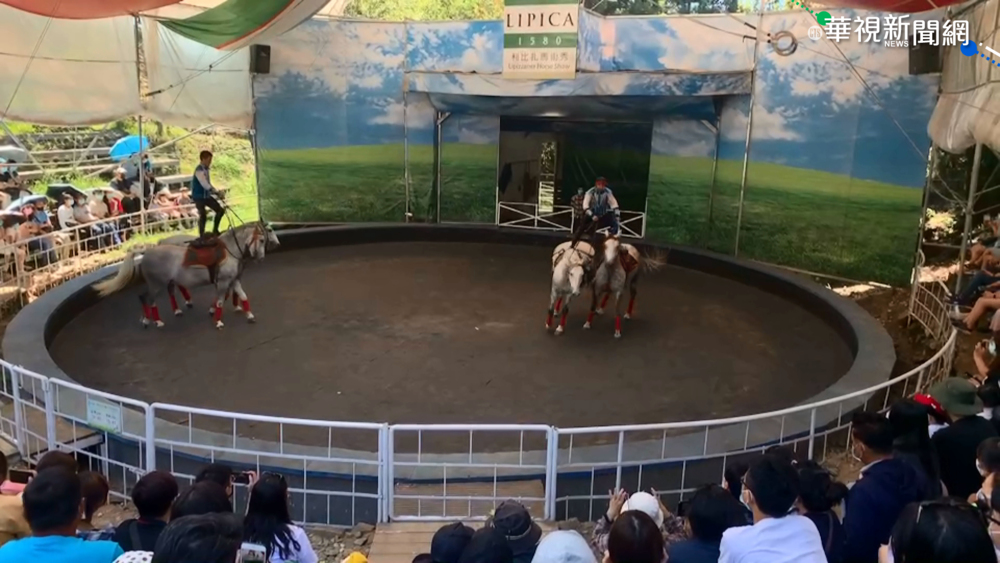 清境農場秀馬術特技 感謝斯國贈疫苗