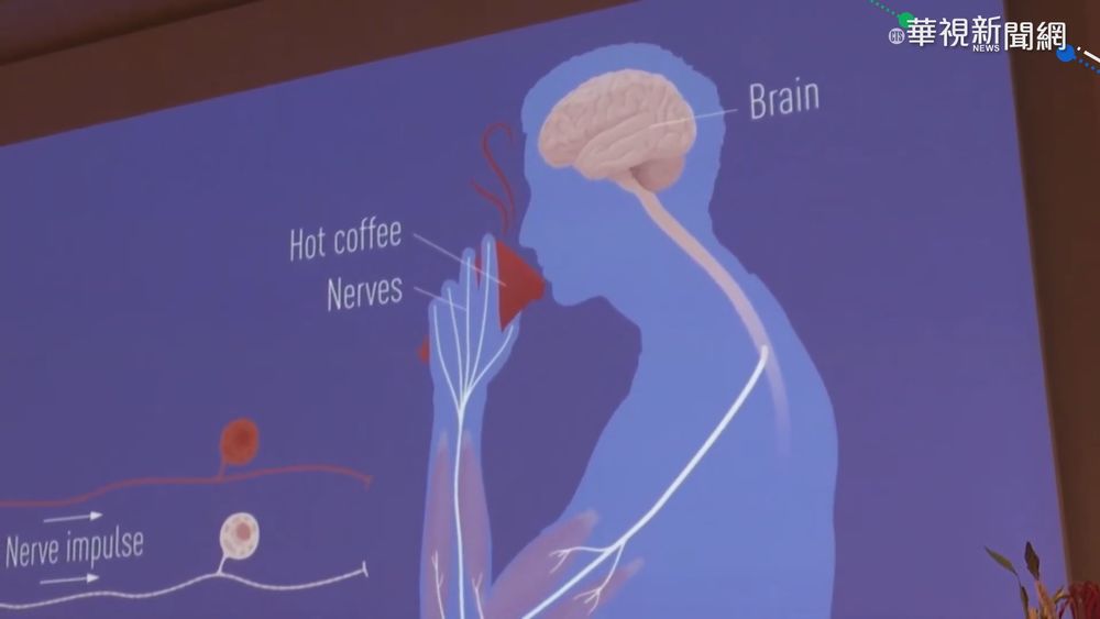 諾貝爾醫學獎 美2學者"痛覺感受器"獲獎