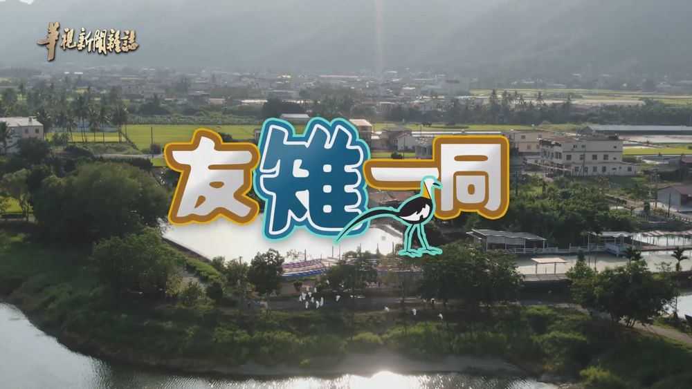 友雉一同 珍禽守護者｜還牠們一片淨土｜華視新聞雜誌