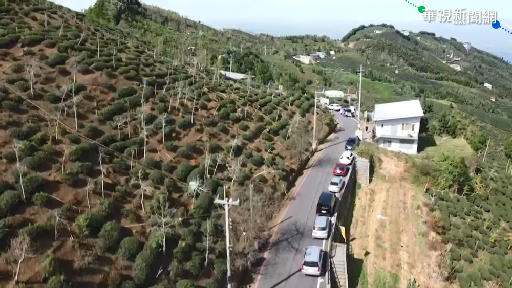 國慶日8100人擠進清境 創今年新高!