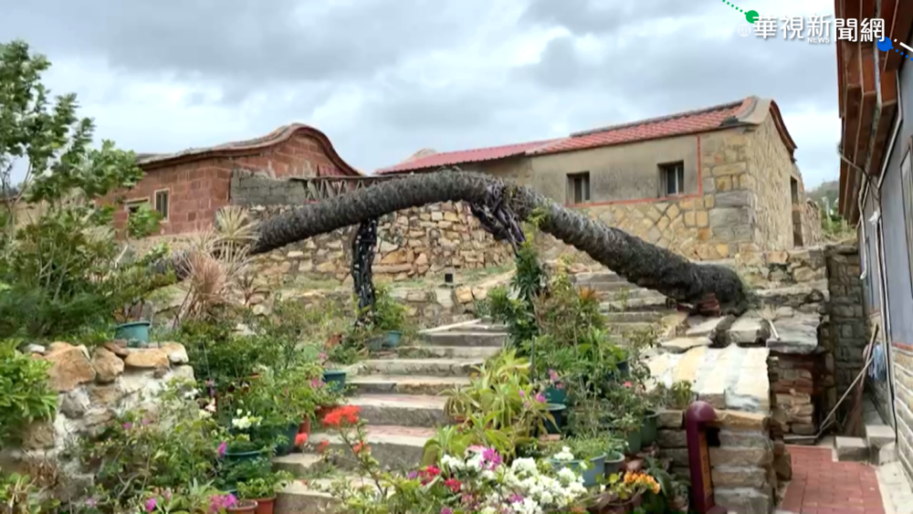 強風襲金門! 百年老樹攔腰折.牌樓倒塌