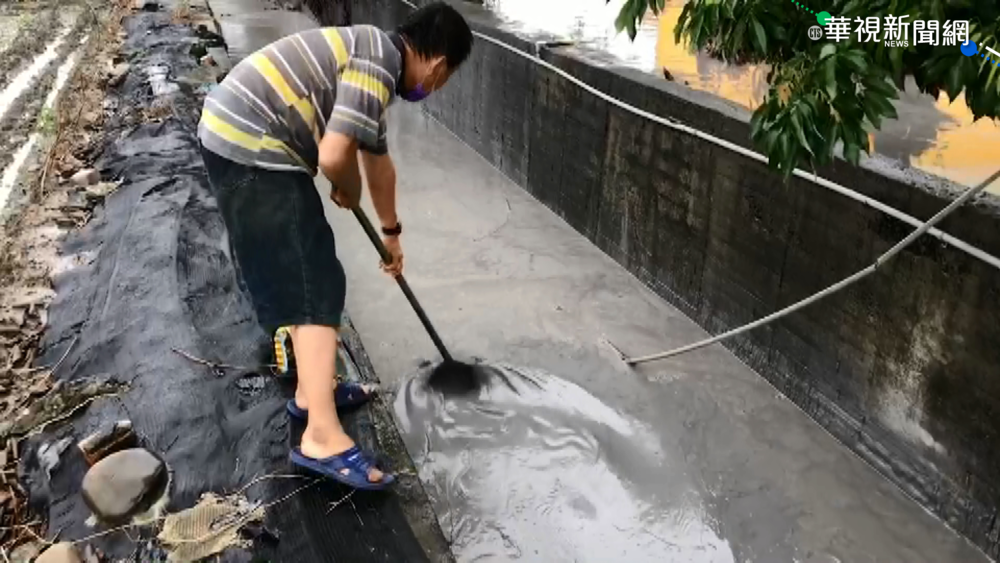 今年第2次! 萬丹泥火山噴發泥漿淹農田