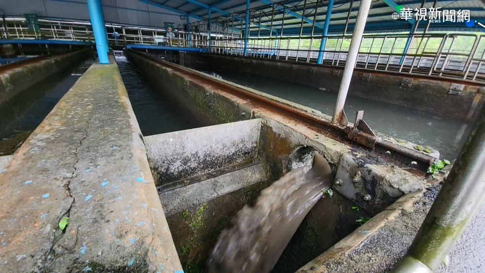 連日大豪雨亂水源! 花蓮自來水濁度增
