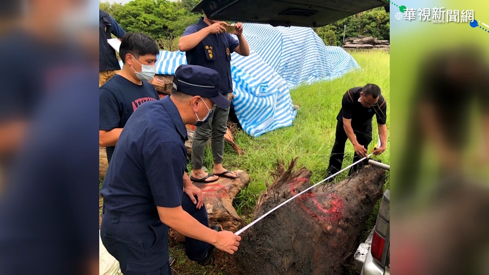 山老鼠盜漂流木 警查獲800kg珍貴木材