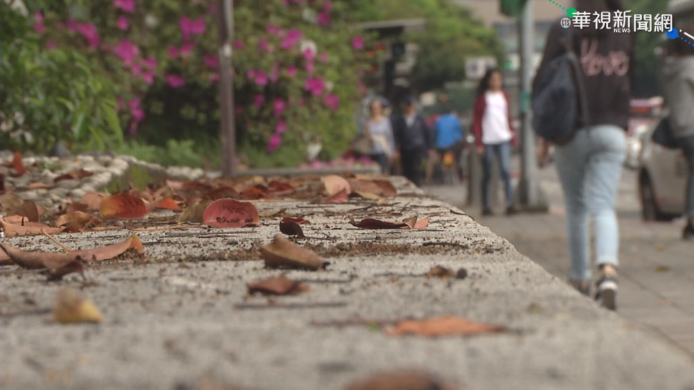 一圖看下週天氣！18日稍回暖 22日再迎第二波東北季風