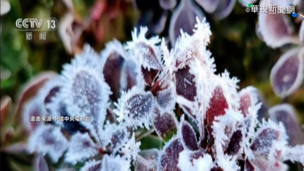 中國北方"一夜入冬" 北京17日現零下低溫