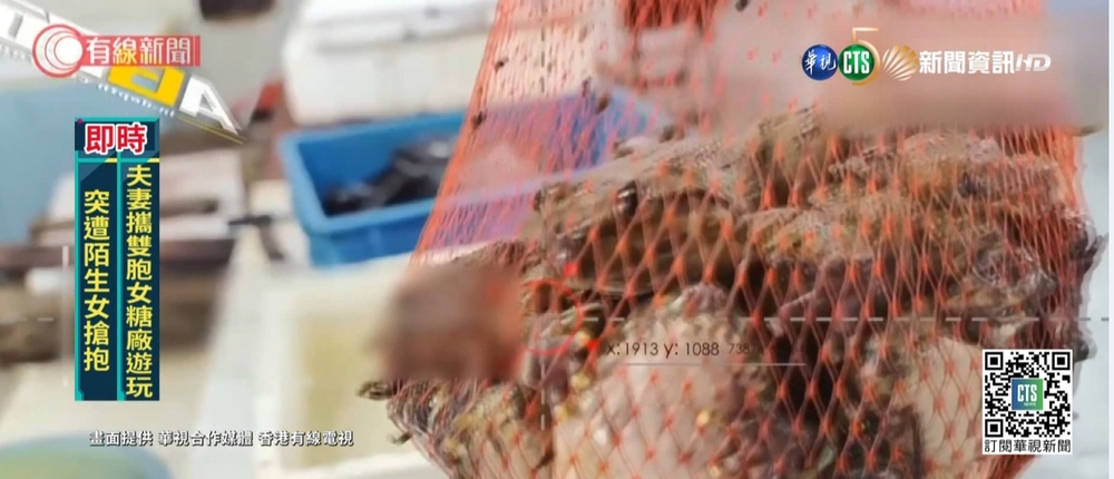 中國禁賣野味 店家不甩照賣.客人照吃