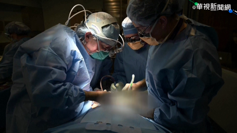 醫學突破! 美成功試驗豬腎移植人體