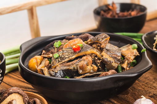 養20年寵物龜遭竊 發現時竟變下酒菜