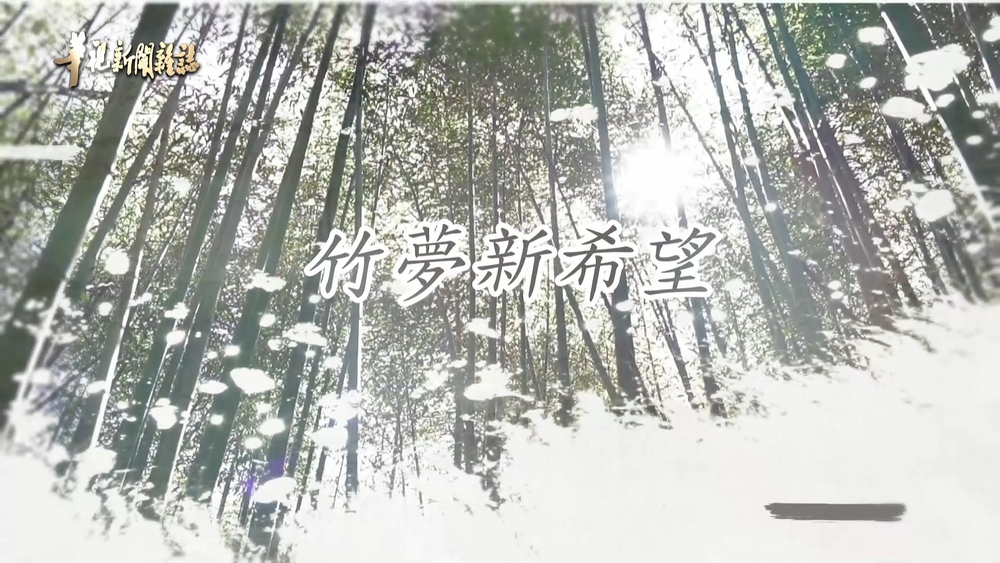 產業復興 竹鐮幫來了｜竹夢新希望｜華視新聞雜誌