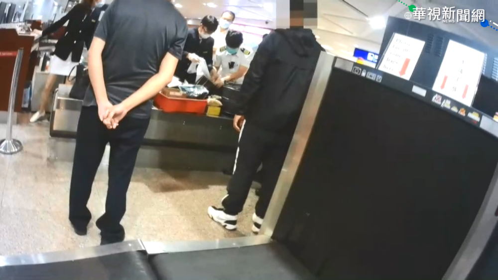 桃警破獲大麻種子走私 市值上億元