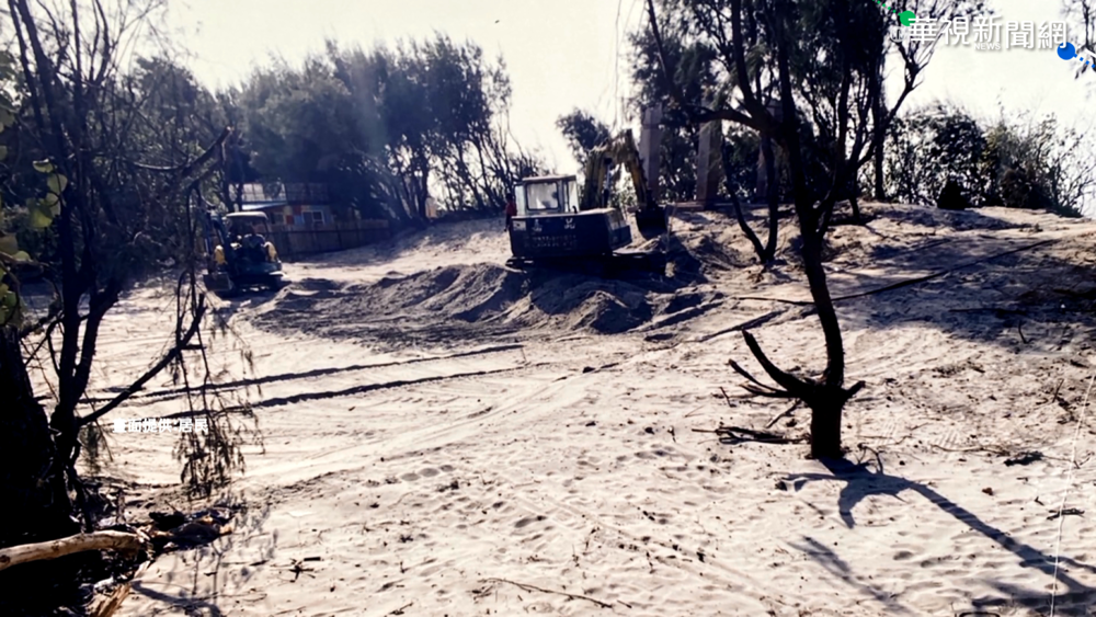 台中濱海營區砍樹造景 風沙亂飛惹民怨