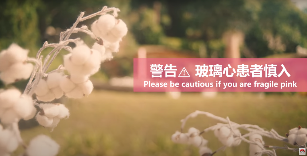 黃明志攜手陳芳語推出合唱新歌《玻璃心》。（翻攝自《玻璃心》MV）