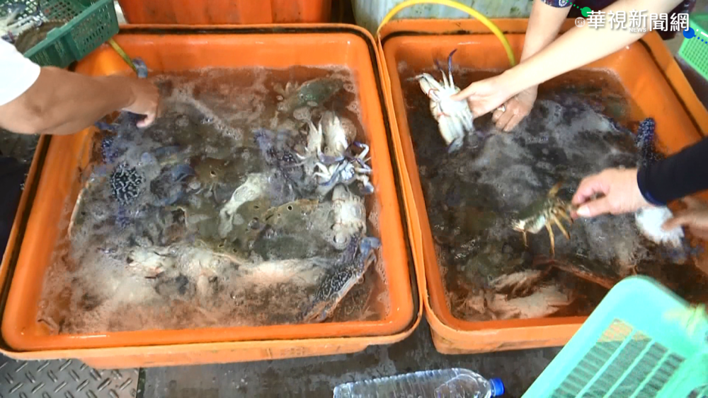 風場航行指南上路 漁民怒:漁場被占滿