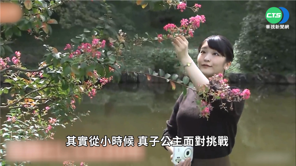 擺脫菊花王朝束縛 真子婚姻路多舛