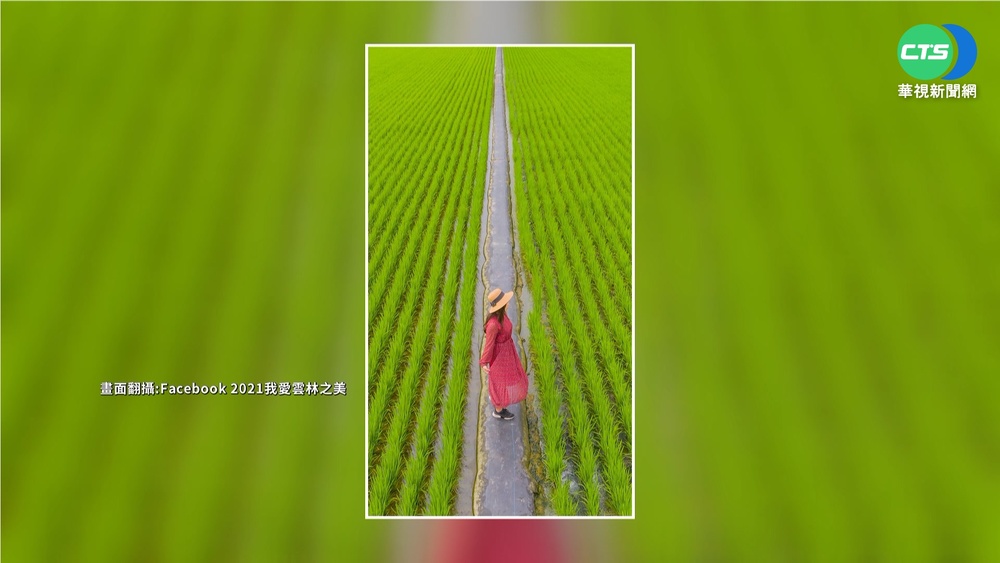 雲林空拍賽《紅衣大女孩》獲獎惹議 主辦取消銀獎原因曝