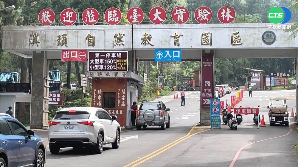 疫情趨緩出遊潮! 溪頭擠爆6000遊客