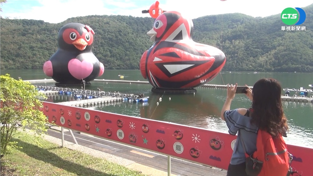 宜蘭秋天限定 太平山山毛櫸披金黃新衣