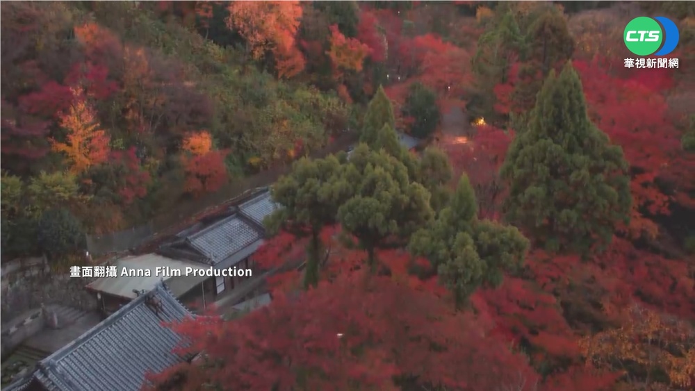 日本疫情降溫! 京都賞楓季擠滿人潮