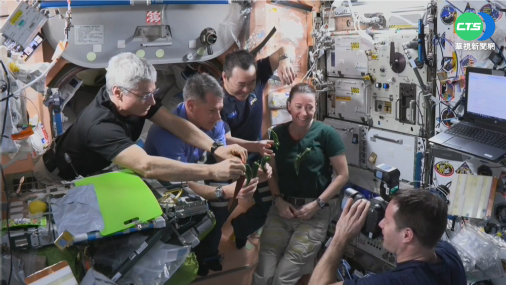 外太空長出辣椒!太空人做捲餅樂開派對