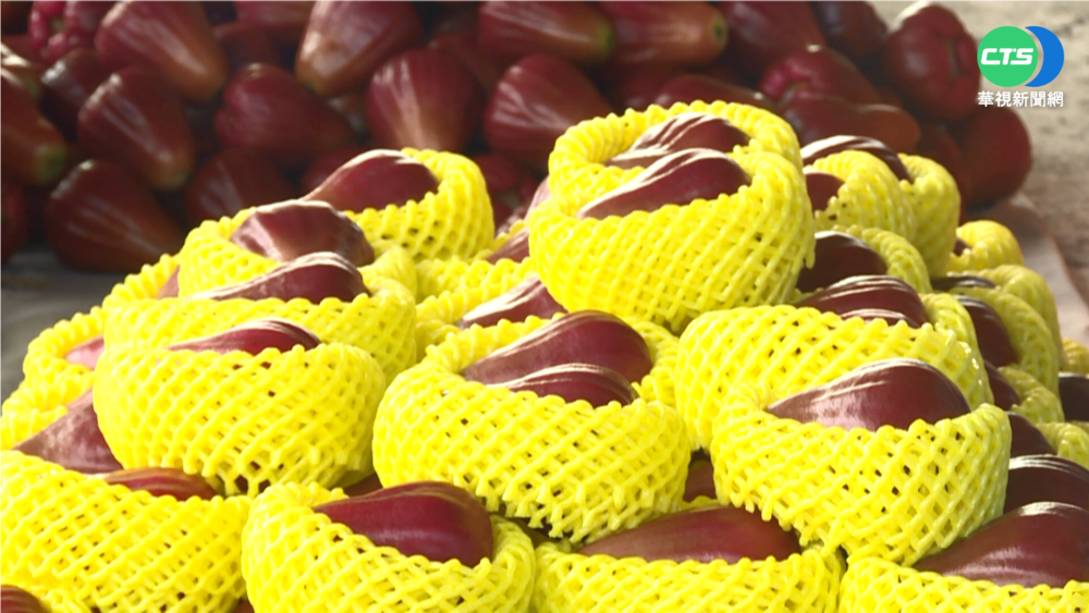 WTO討論中禁台水果 中國:禁運符合規範