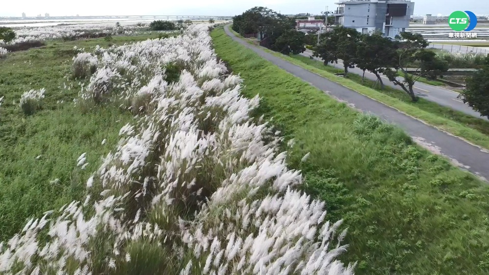 礁溪溫泉燈花季 愛心光雕拱門好浪漫
