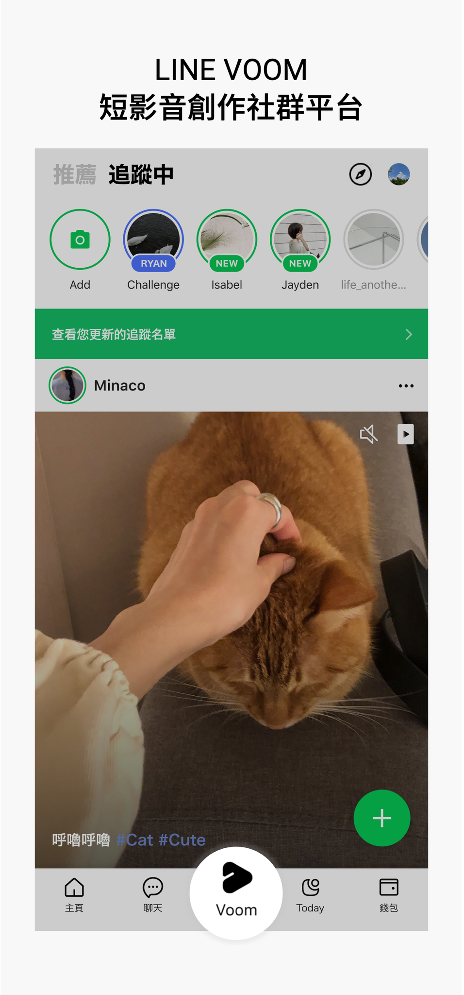 翻攝LINE官方網站。