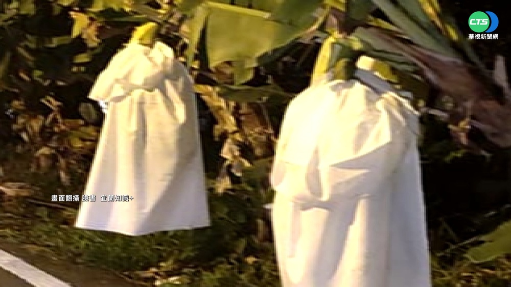 香蕉套白布防寒 民眾夜間路過嚇一跳