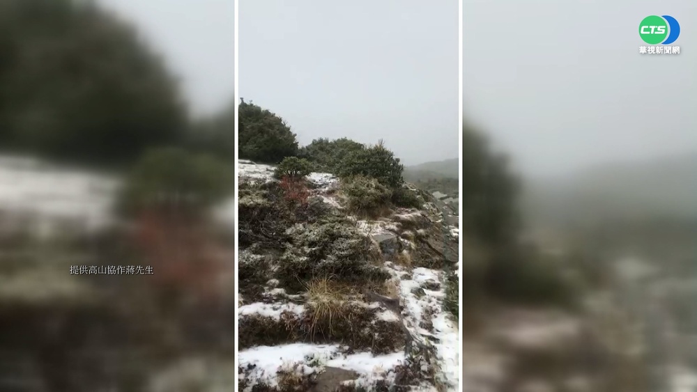 又濕又冷雪霸飄白雪 登山客興奮拍照