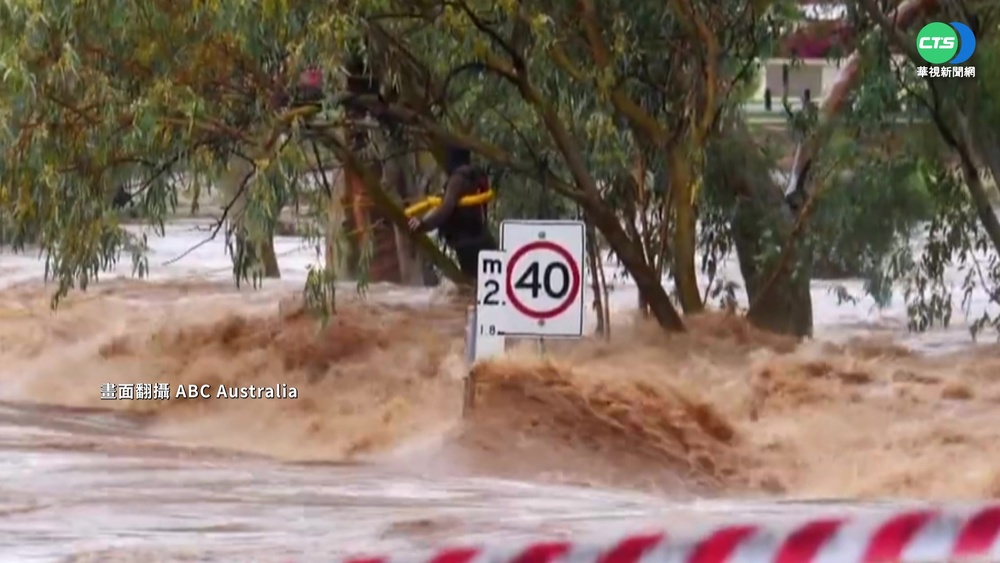 開車險遭滅頂!澳男爬樹撐6.5小時獲救